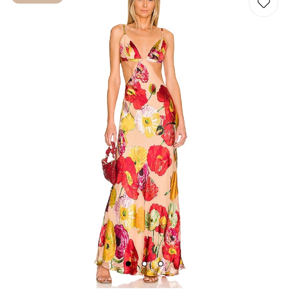 Dari gown in painted floral - CULT GAIA